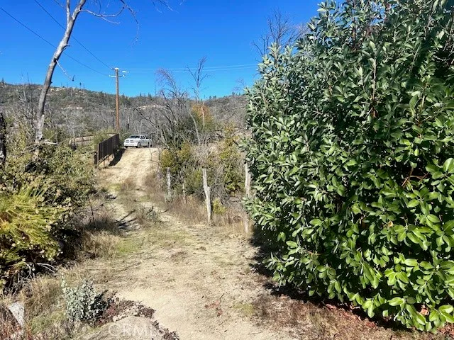 a view of backyard with wooden fence and trees
