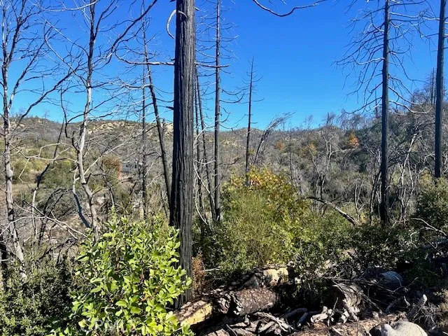a view of a backyard of the house