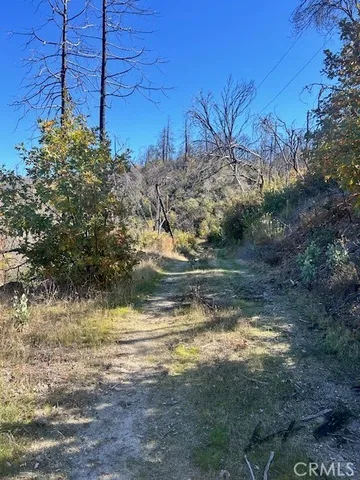 a view of a yard with wooden fence