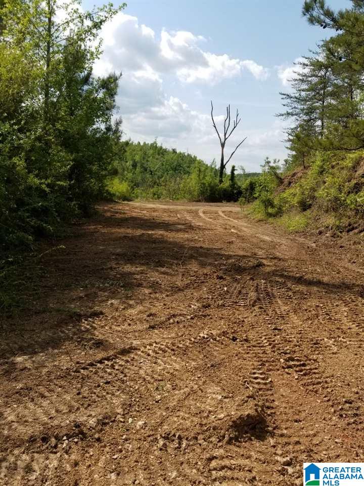 11465 Holt Peterson Road Tuscaloosa, AL 35404 - Photo 2 of 13