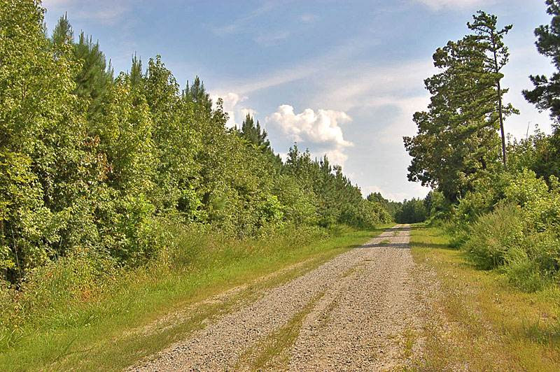 Old Mill Creek Road Roxboro, NC 27574 - Photo 3 of 4 Photo 3