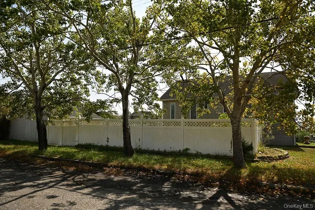 a view of backyard and tree