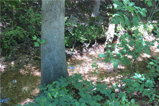 57 Butler Road Parsons, TN 38363 - Photo 11 of 19 Rock bottom creek with clear water