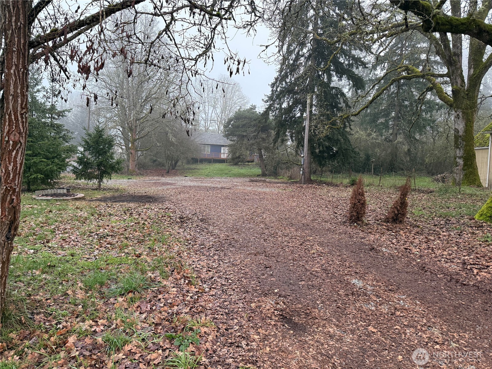 a backyard of a house with lots of green space