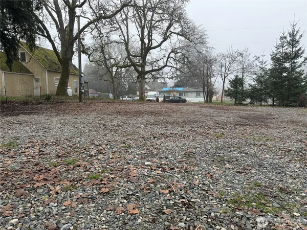 a view of a backyard with trees