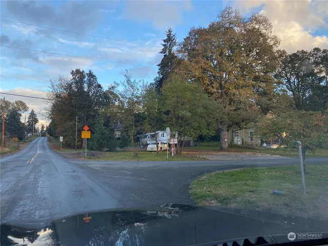 a road view with large trees