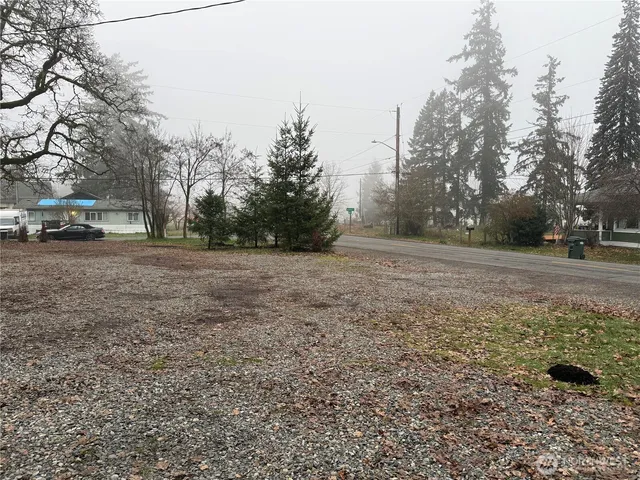 a view of a yard with a house in the background