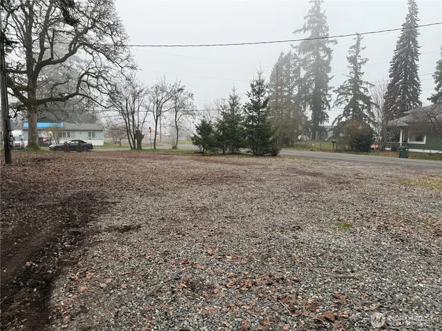 a view of a yard with a tree
