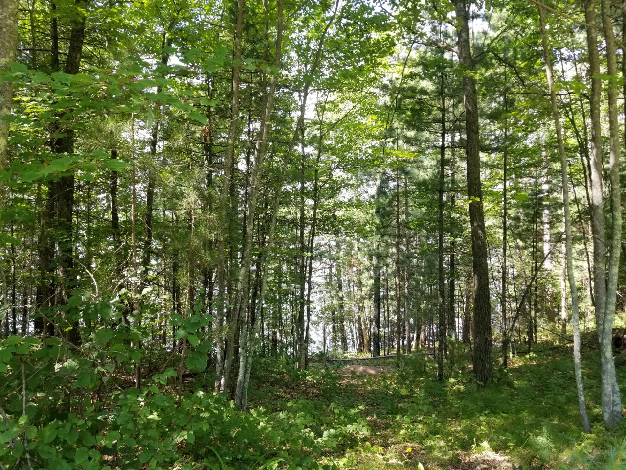 28 Rd Lake, Unit LOT 1 Lake Tomahawk, WI 54539 - Photo 8 of 13 Gallery Image 8