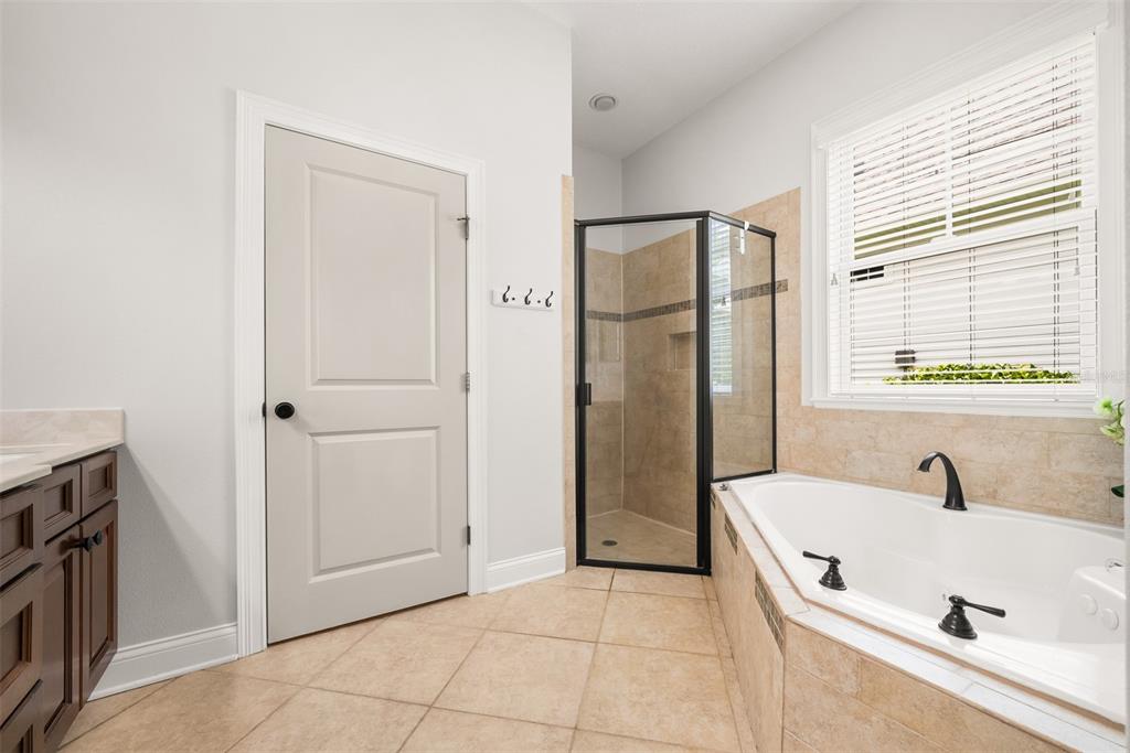 11067 Northwest 18th Road Gainesville, FL 32606 - Photo 35 of 58 a bathroom with a tub a sink and a mirror