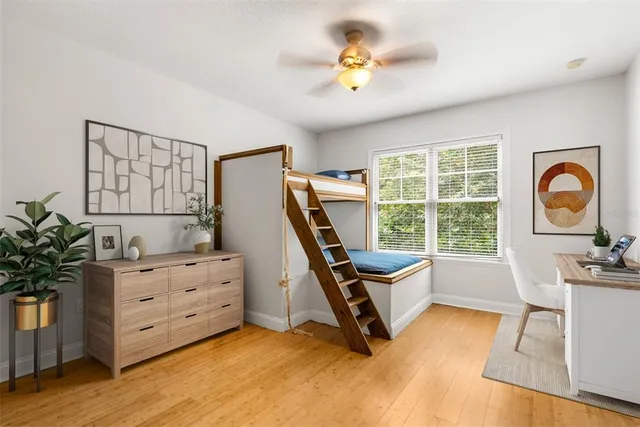 a view of a park with large trees