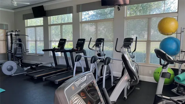 $4,200 | 8807 Eden Cove Drive, Winter Garden, FL 34787