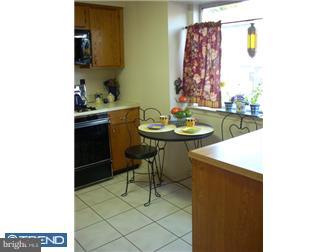 45 Geraldine Road East Windsor, NJ 08520 - Photo 5 of 11 Kitchen