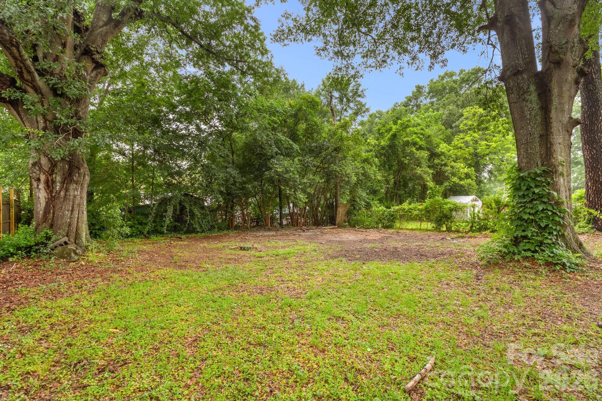 110 Courtland Street Chester, SC 29706 - Photo 22 of 22 a view of a yard with large trees