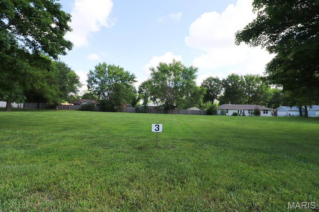 0 Wicker Street, Unit 3 Buffalo, MO 65622 - Photo 4 of 8