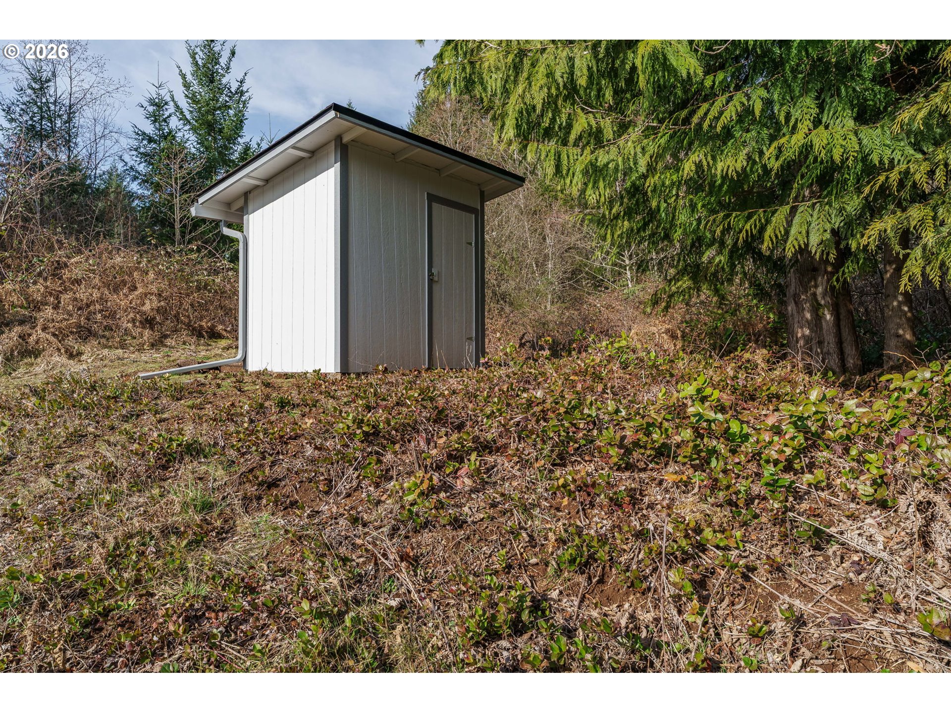 25114 Northeast Rawson Road Brush Prairie, WA 98606 - Photo 39 of 48