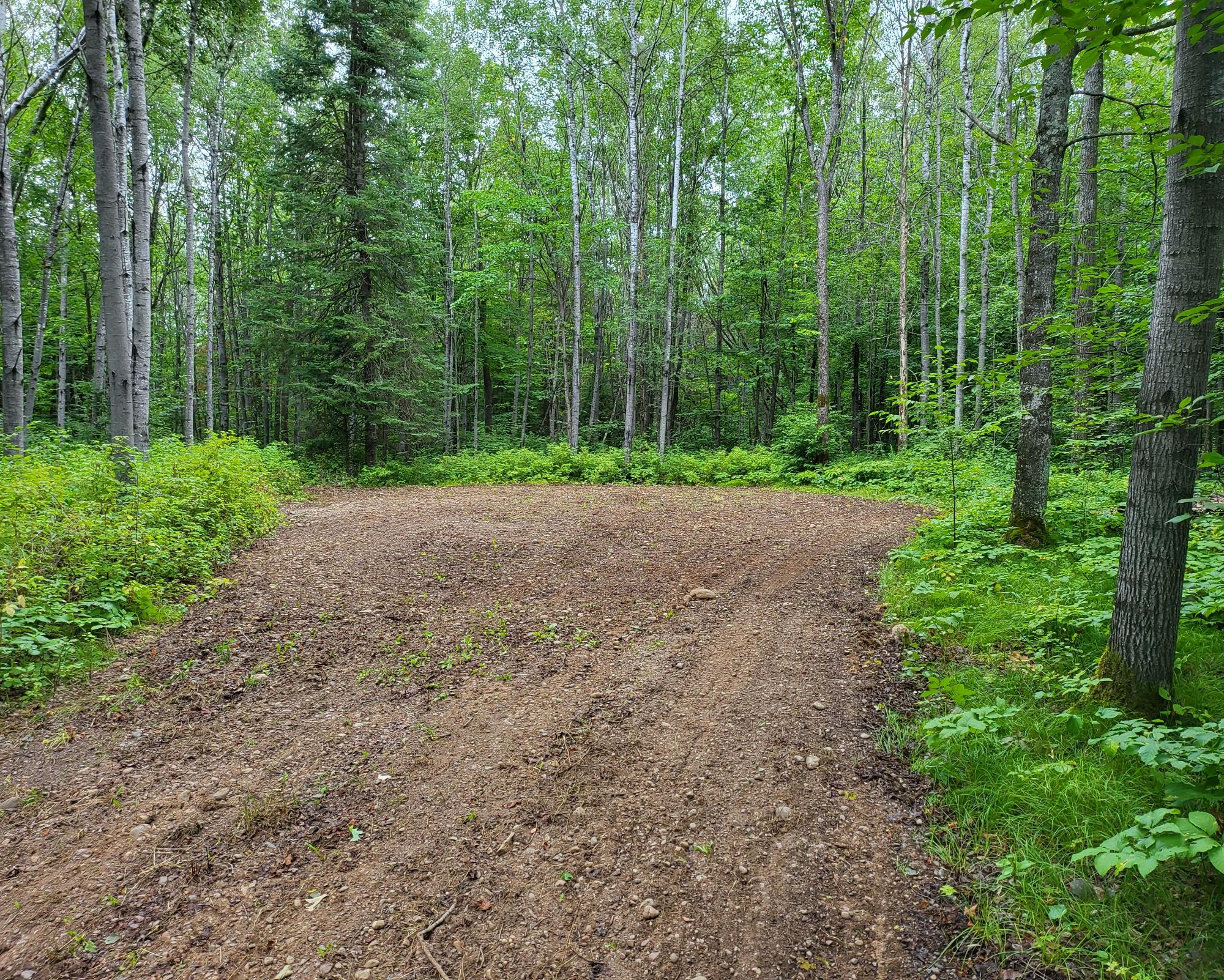 Lot 7 Dream Lake Road Long Lake, WI 54542 - Photo 3 of 8