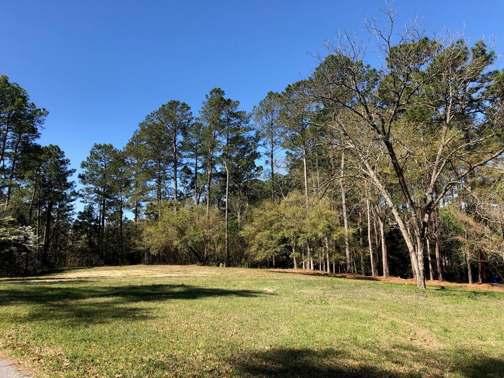 Lot G Lot G Ridgecrest Avenue Southwest Aiken, SC 29801 - Photo 4 of 5