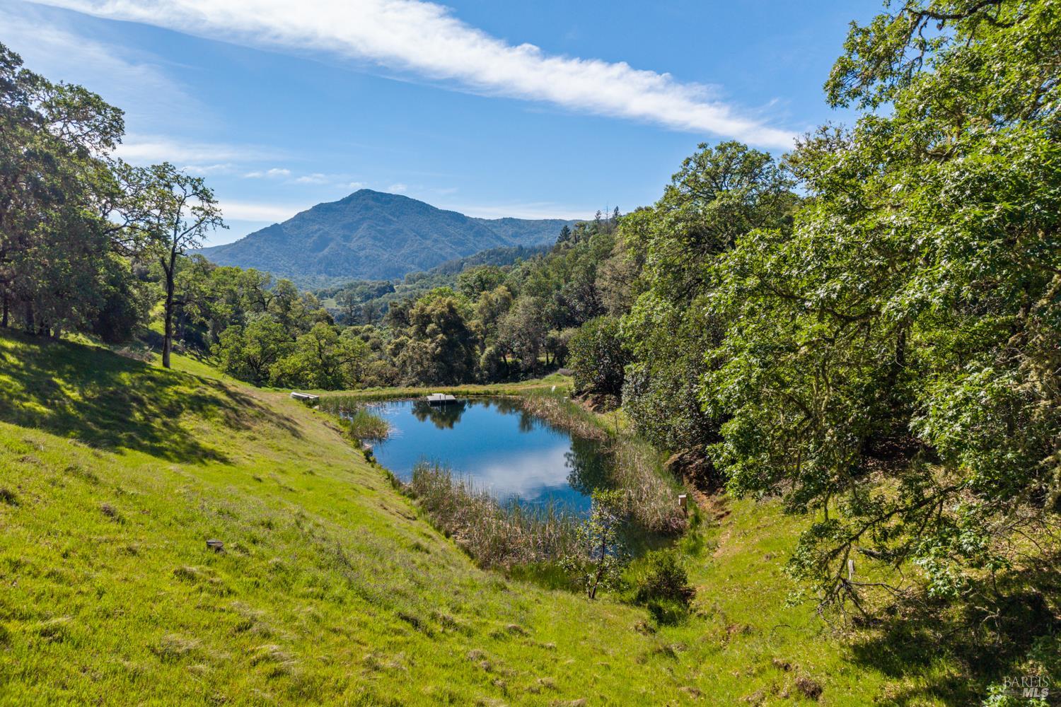 2800 Feliz Creek Road Hopland, CA 95449 - Photo 17 of 48 a view of a lake with mountains in the background