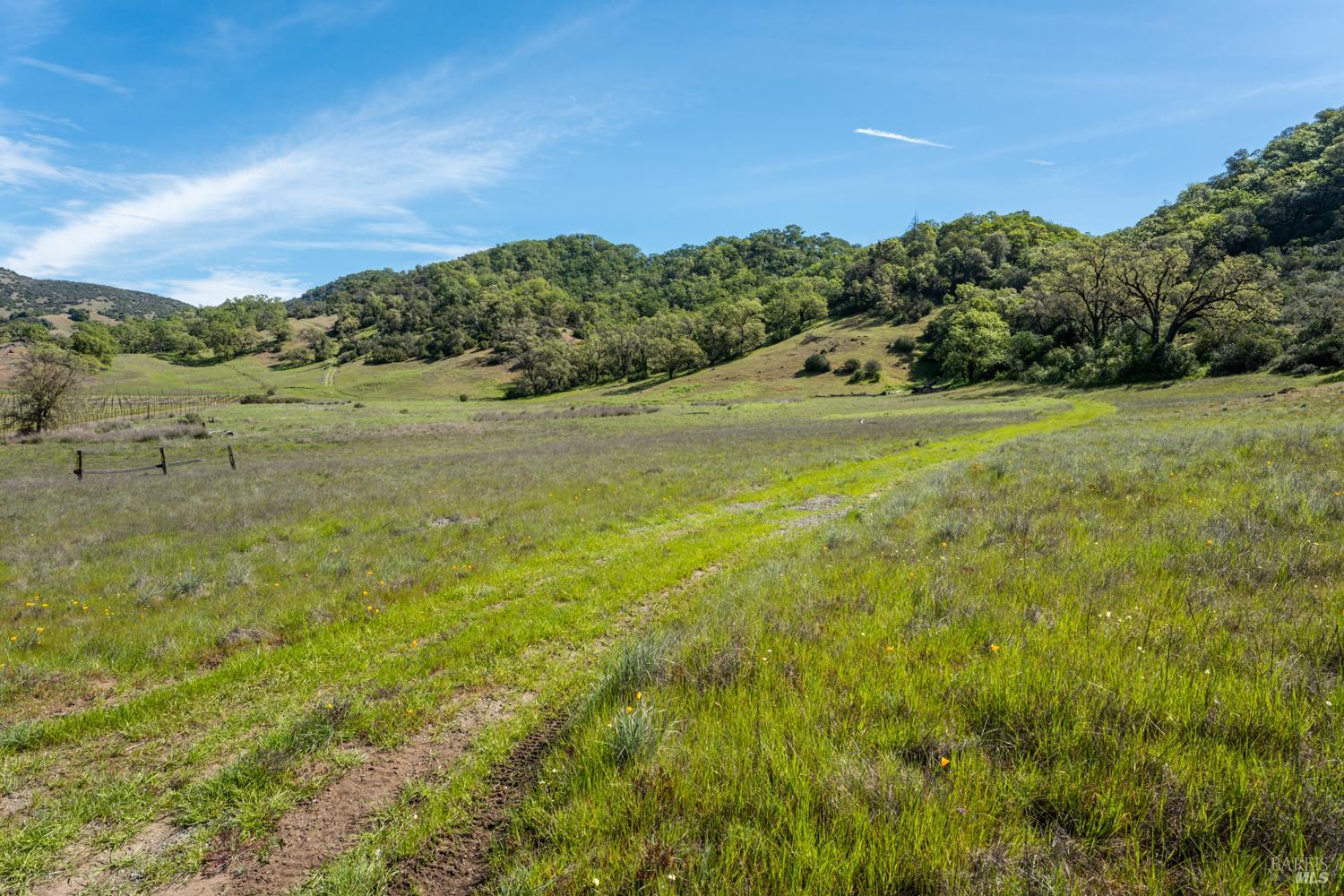 2800 Feliz Creek Road Hopland, CA 95449 - Photo 30 of 48 a view of a field with an ocean