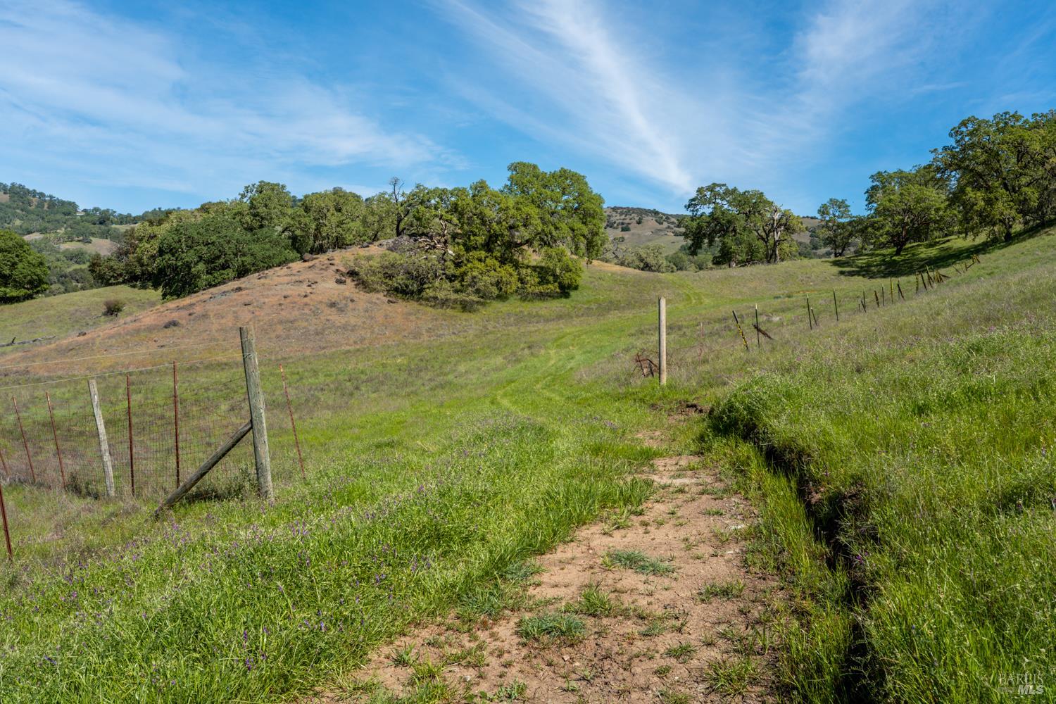 2800 Feliz Creek Road Hopland, CA 95449 - Photo 31 of 48 a backyard of a house with lots of green space