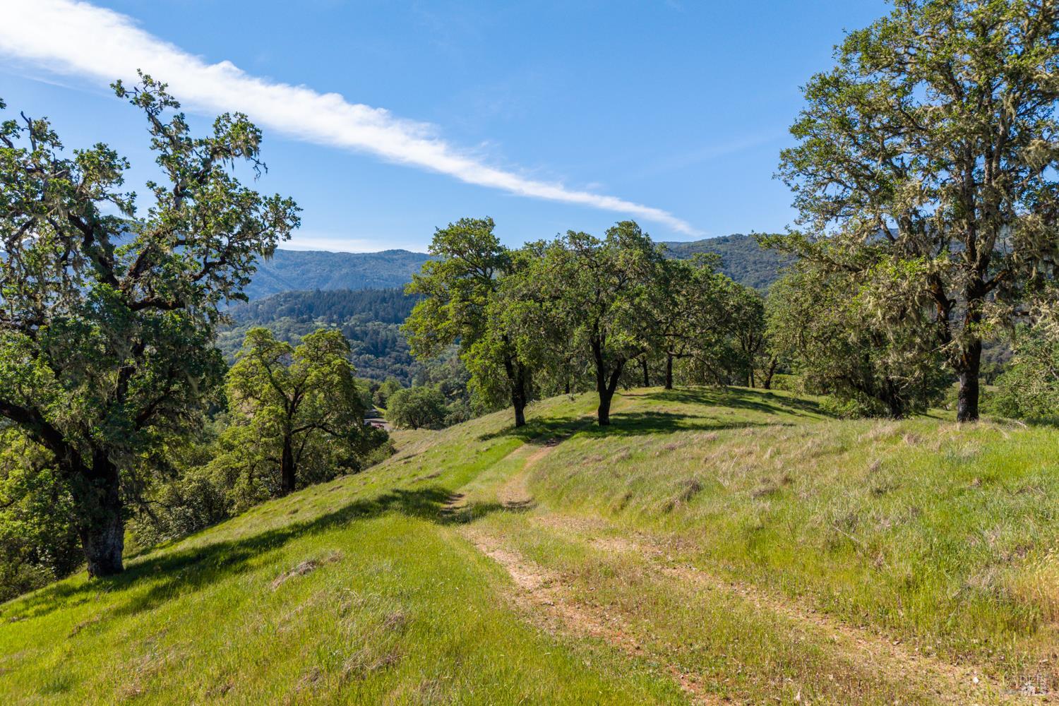 2800 Feliz Creek Road Hopland, CA 95449 - Photo 35 of 48 a view of a yard with trees