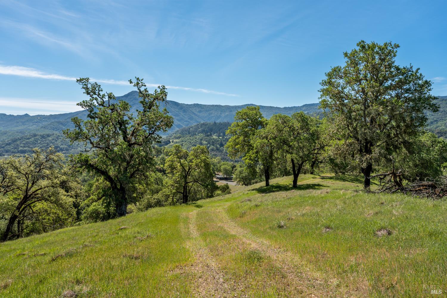 2800 Feliz Creek Road Hopland, CA 95449 - Photo 37 of 48 a view of a big yard with large trees