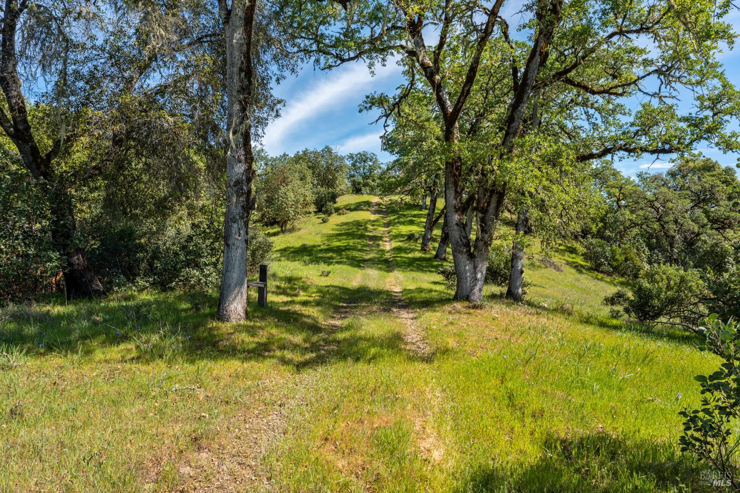 2800 Feliz Creek Road Hopland, CA 95449 - Photo 38 of 48 a view of a yard with trees