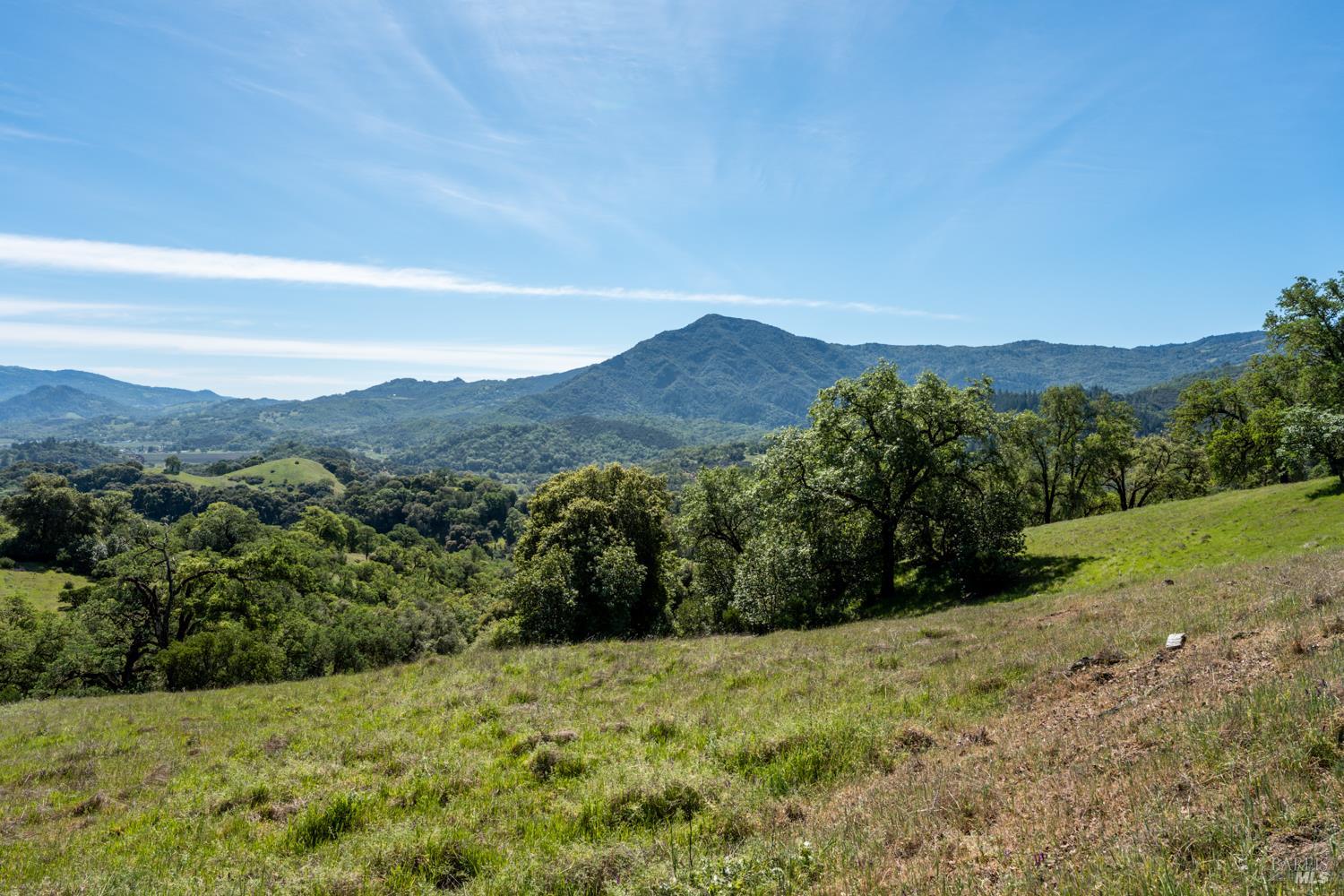 2800 Feliz Creek Road Hopland, CA 95449 - Photo 39 of 48 a view of a yard with a mountain