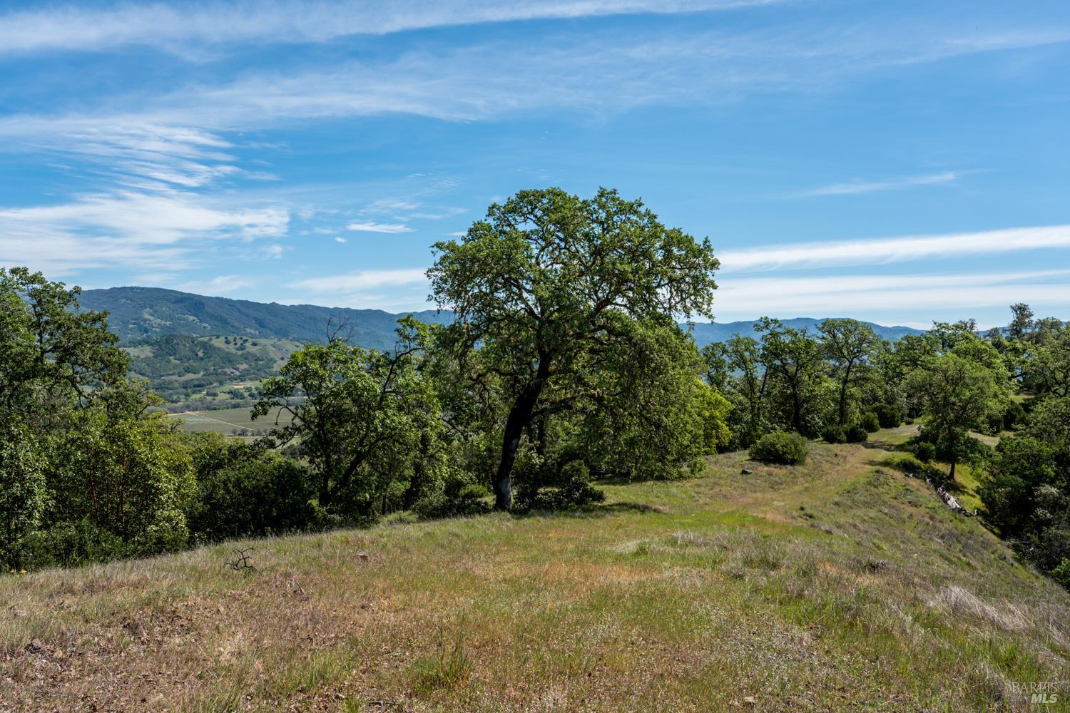 2800 Feliz Creek Road Hopland, CA 95449 - Photo 41 of 48 a view of outdoor space and mountain view