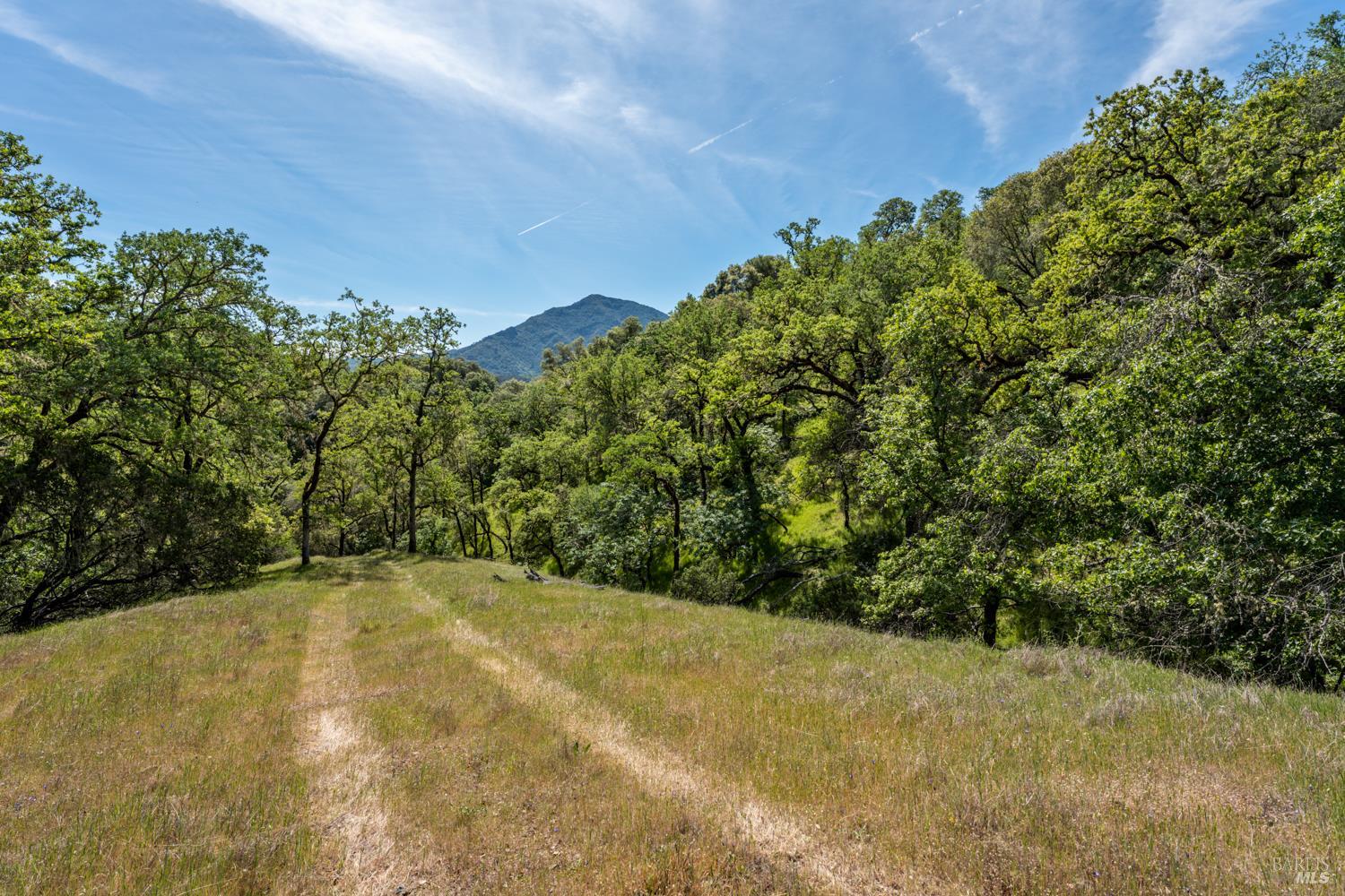 2800 Feliz Creek Road Hopland, CA 95449 - Photo 43 of 48 a view of a yard