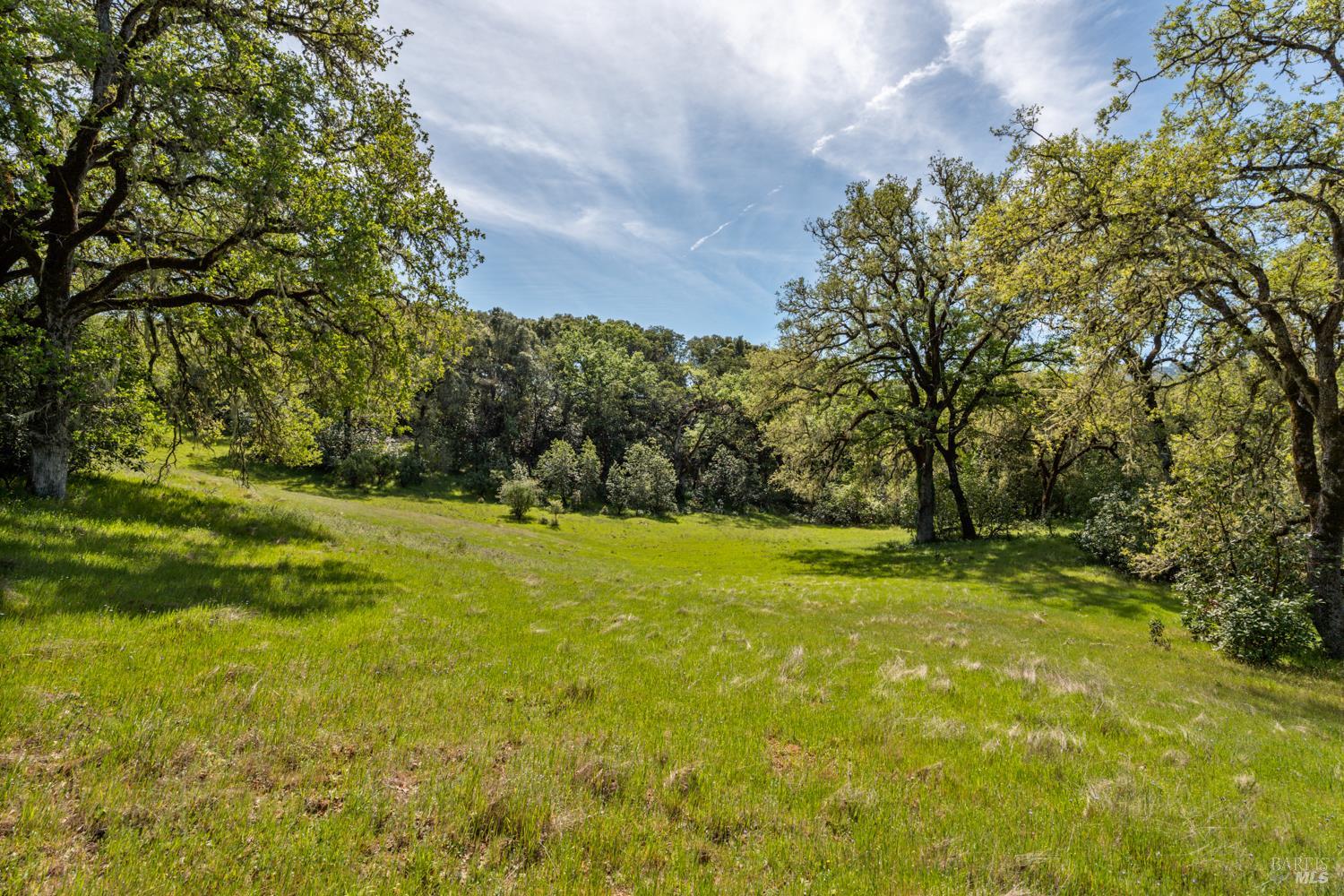 2800 Feliz Creek Road Hopland, CA 95449 - Photo 44 of 48 a view of yard with green space