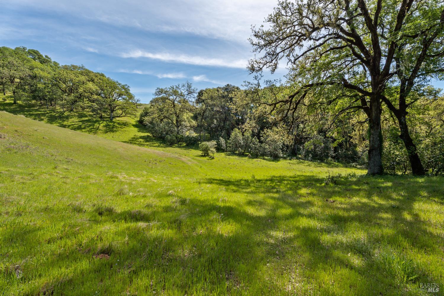2800 Feliz Creek Road Hopland, CA 95449 - Photo 45 of 48 a view of outdoor space with a yard