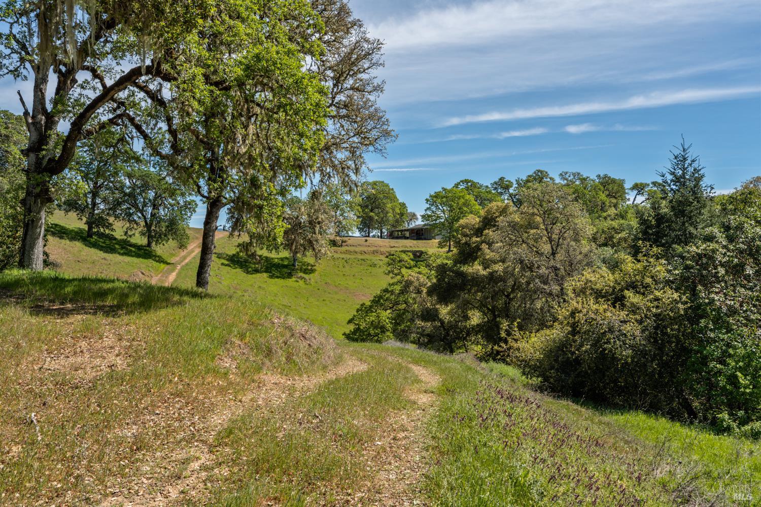 2800 Feliz Creek Road Hopland, CA 95449 - Photo 46 of 48 a view of a yard with an trees