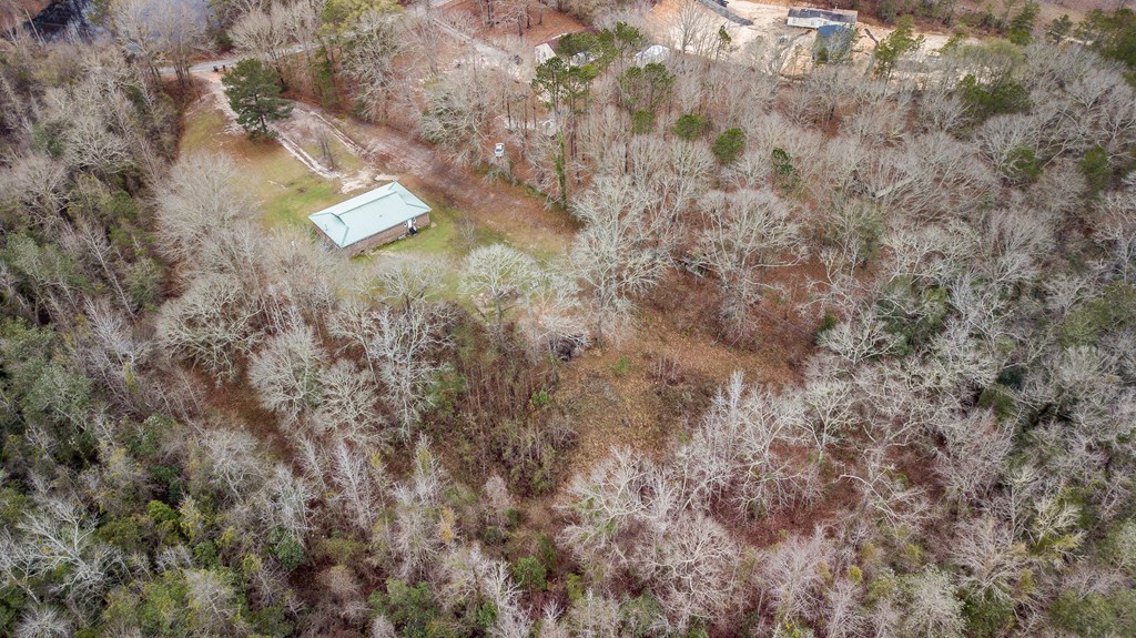 112 Whitetail Road Seale, AL 36875 - Photo 37 of 50