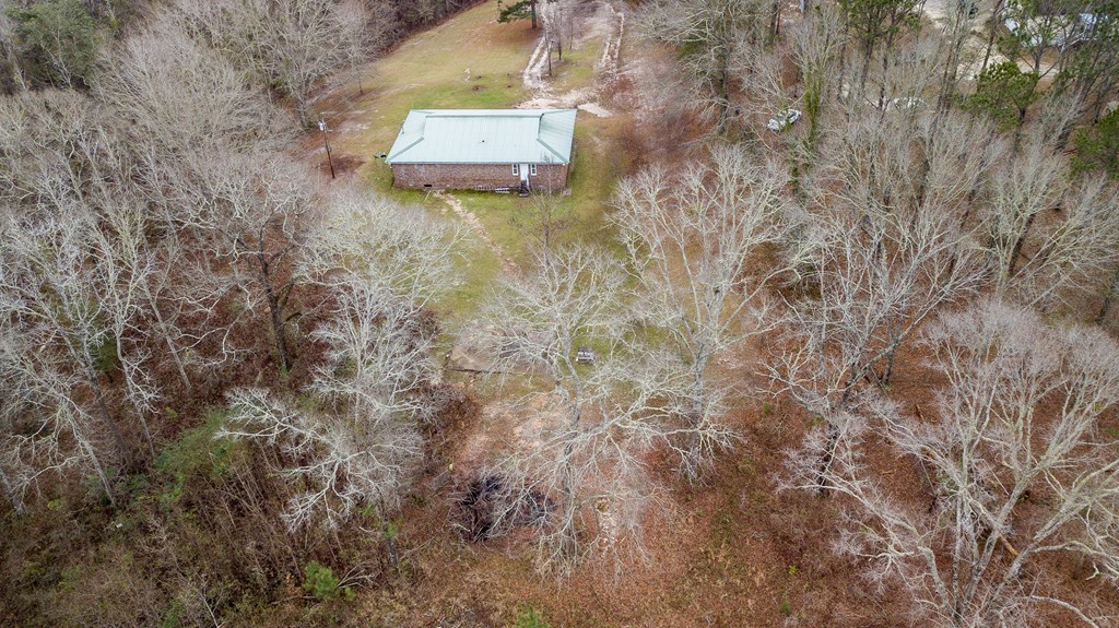 112 Whitetail Road Seale, AL 36875 - Photo 39 of 50