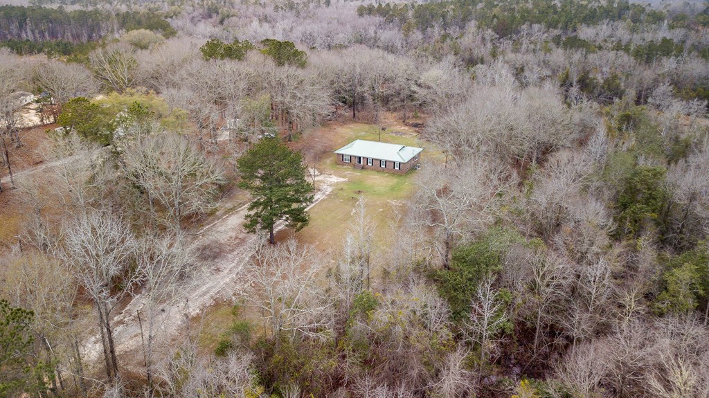112 Whitetail Road Seale, AL 36875 - Photo 41 of 50