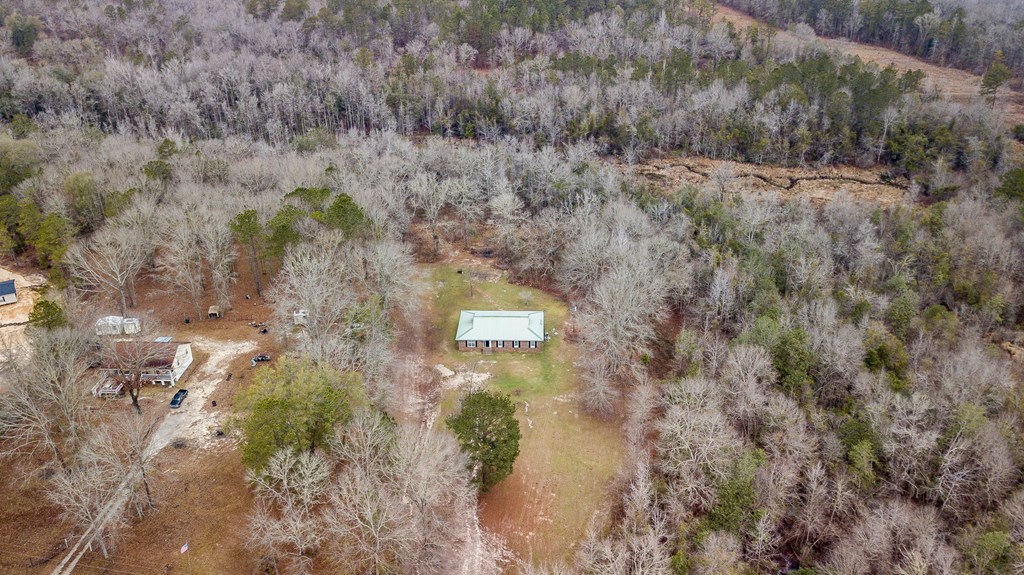 112 Whitetail Road Seale, AL 36875 - Photo 43 of 50