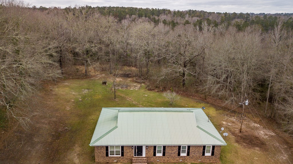 112 Whitetail Road Seale, AL 36875 - Photo 48 of 50