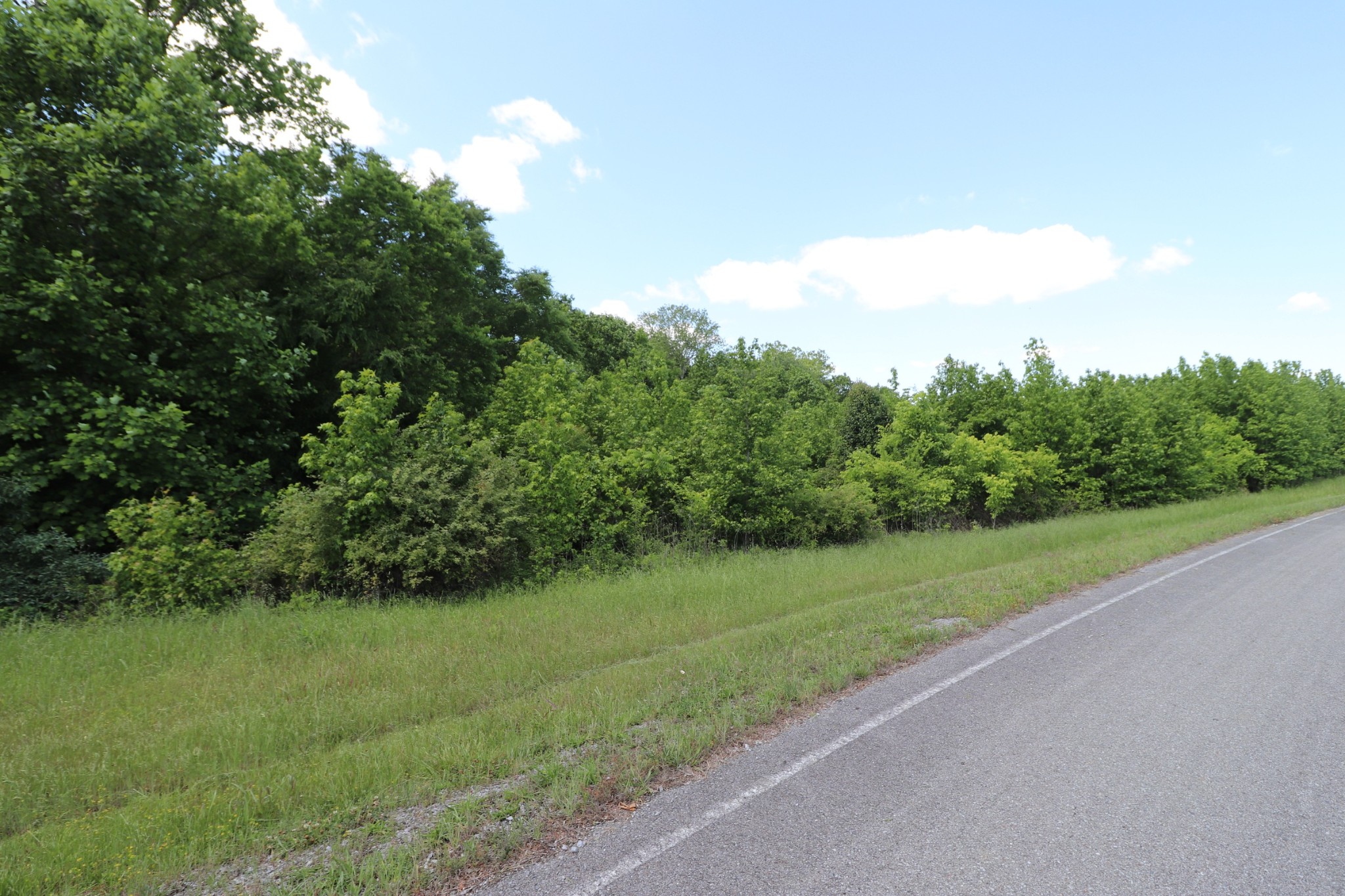 0 River Street Hartsville, TN 37074 - Photo 5 of 11 Gallery Image 5