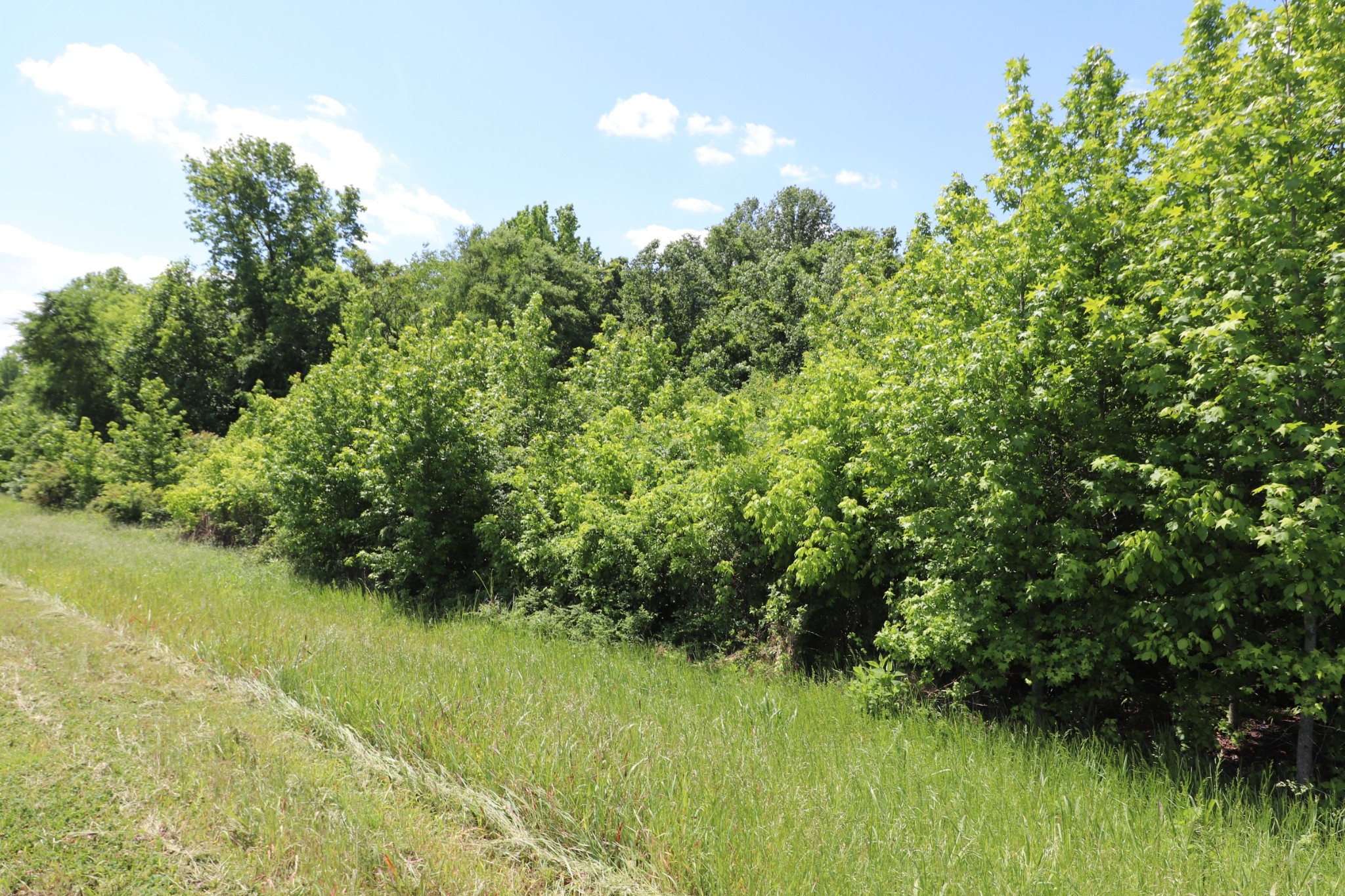 0 River Street Hartsville, TN 37074 - Photo 7 of 11 Gallery Image 7
