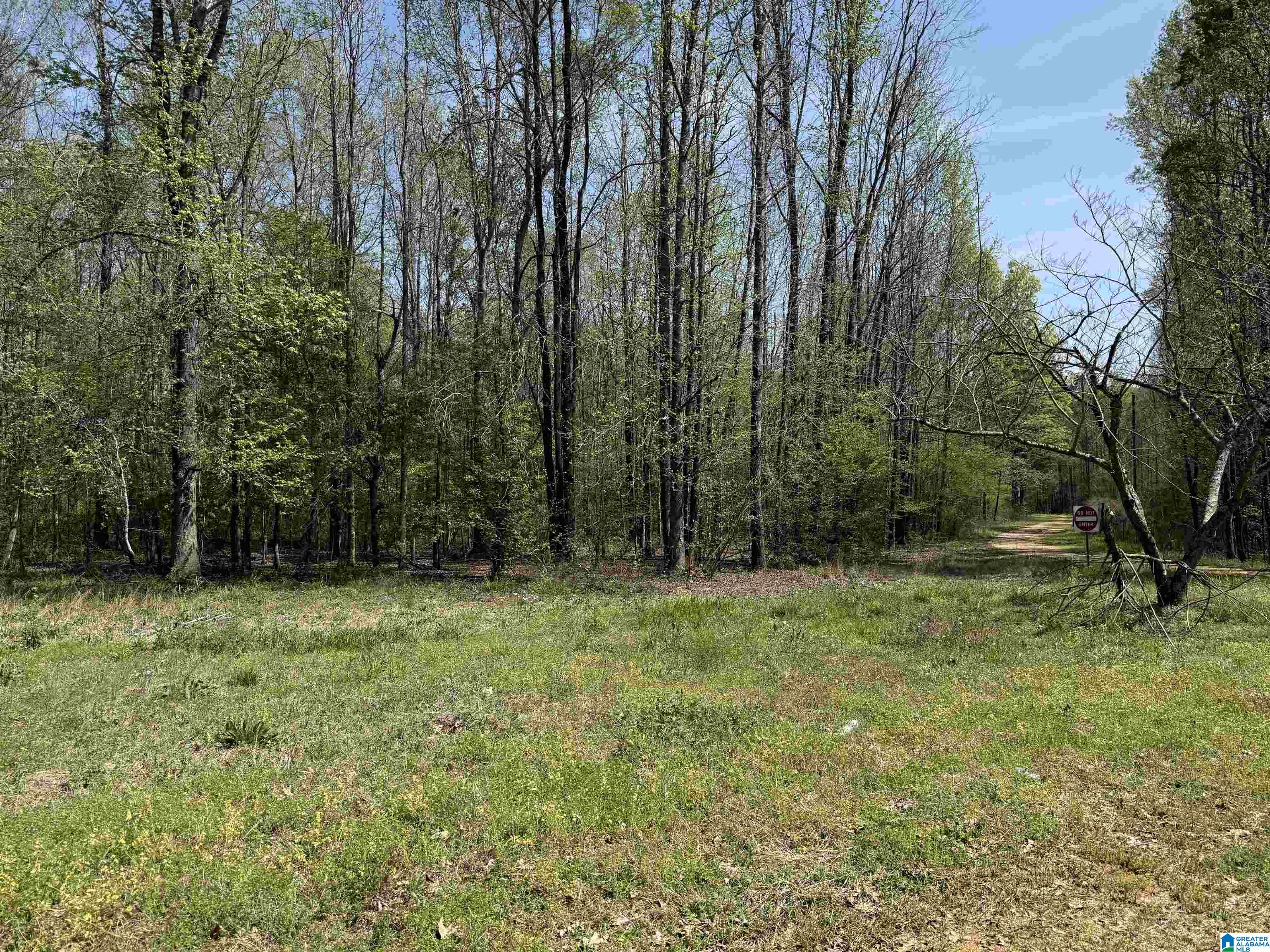 1781 Riverview Beach Road, Unit 1781 Moundville, AL 35474 - Photo 2 of 27