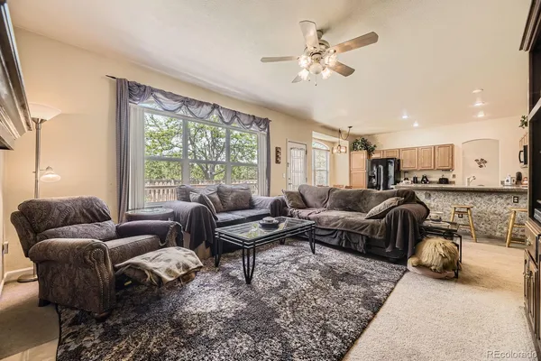 a living room with furniture ceiling fan and a rug