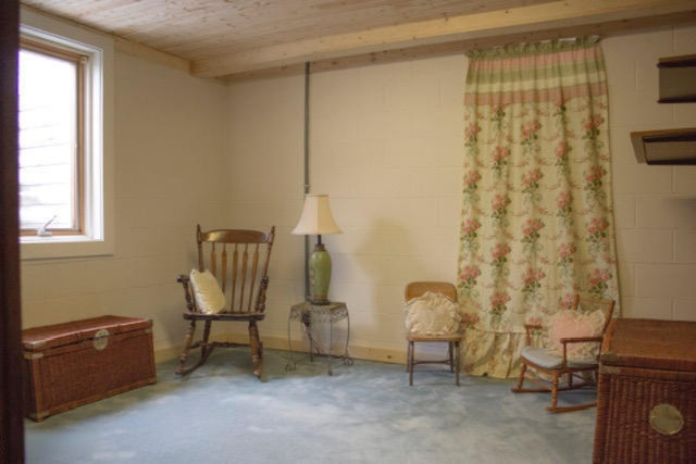 7701 Durham Road Whitehall, MI 49461 - Photo 25 of 42 SMBasement Bedroom