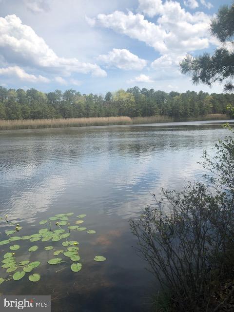 3 B Acorn Road Manahawkin, NJ 08050 - Photo 17 of 19 Lake