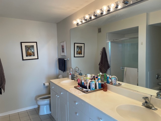 1640 Maple Avenue, Unit 1006 Evanston, IL 60201 - Photo 11 of 21 a bathroom with a sink and a mirror