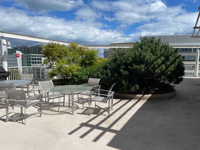 1640 Maple Avenue, Unit 1006 Evanston, IL 60201 - Photo 17 of 21 a view of a patio with a table and chairs and potted plants