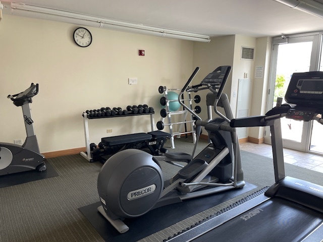 1640 Maple Avenue, Unit 1006 Evanston, IL 60201 - Photo 19 of 21 a view of a room with gym equipment