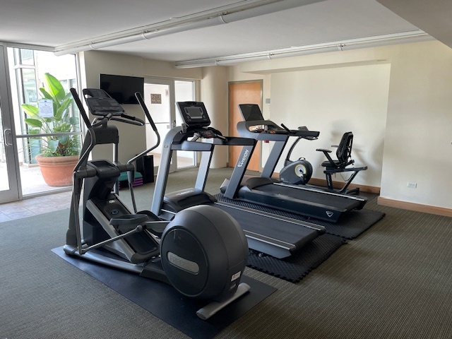 1640 Maple Avenue, Unit 1006 Evanston, IL 60201 - Photo 20 of 21 a room with gym equipment and windows