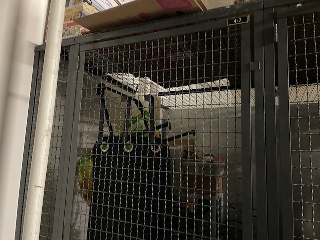 1640 Maple Avenue, Unit 1006 Evanston, IL 60201 - Photo 21 of 21 a view of entryway